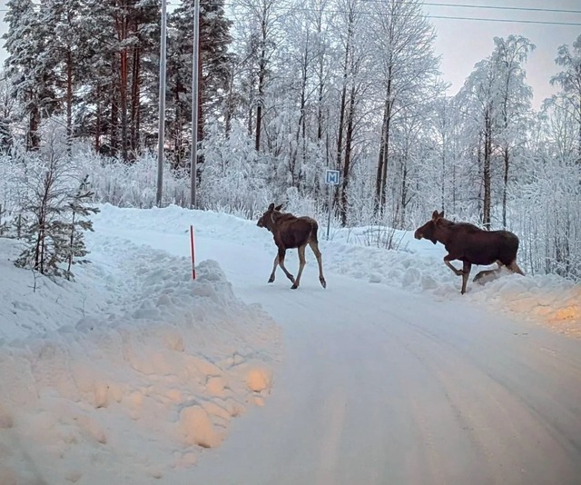 photos of your neighborhood that you took