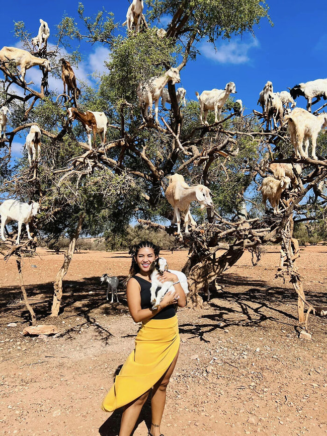 632dc416bdde0_qdtn5s2pfio91-png__700