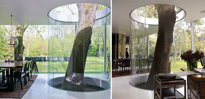 architecture-around-the-trees-6__880