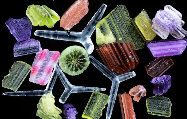 2024-Nikon-Small-World-Photomicrography-Competition