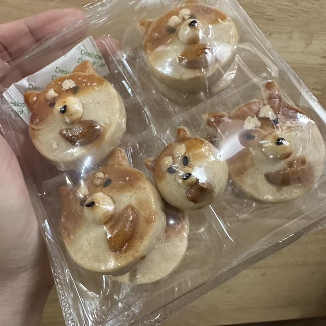 353042152_653067053527847_1793293348555214903_n