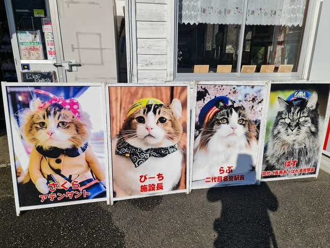 338487630_1488984021842451_1175012915878818048_n