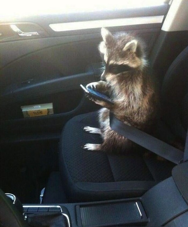 CThbSIGlXgp-png__700