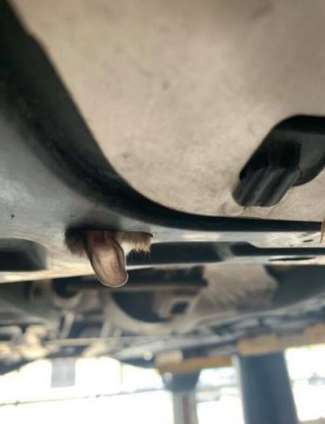 68c2adc69b0e5_mechanic-fails-posts-jokes__700