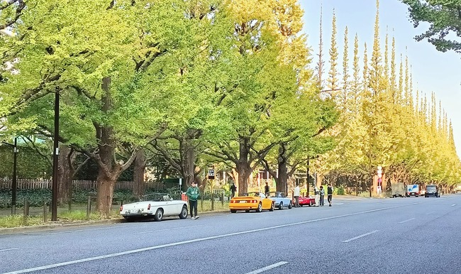 400448907_6669889653129273_6713999540420877785_n (1)