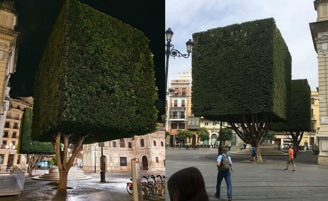 real-life-photos-look-like-videogames-1-640b2a3937d1e__700