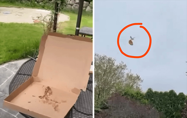 10-67a9d1c392302__700