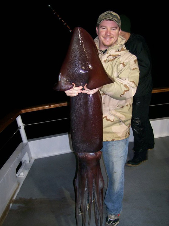 scary-ocean-photos-15-656471e9ee7a2__700