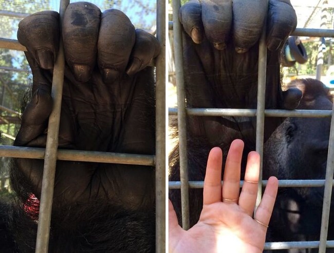 67da7b8fd1c0a_generated-image