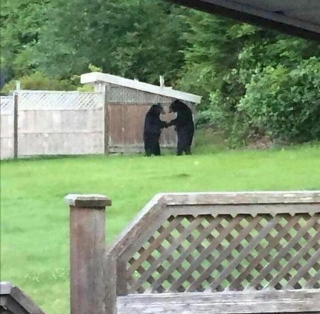 CgeZcyVM0Ve-png__700