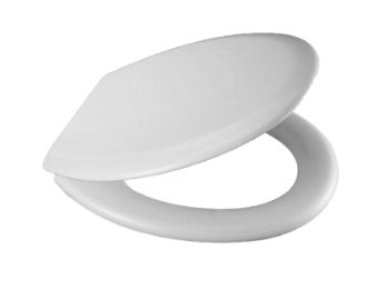 1280px-Guinea_Pig_eating_apple