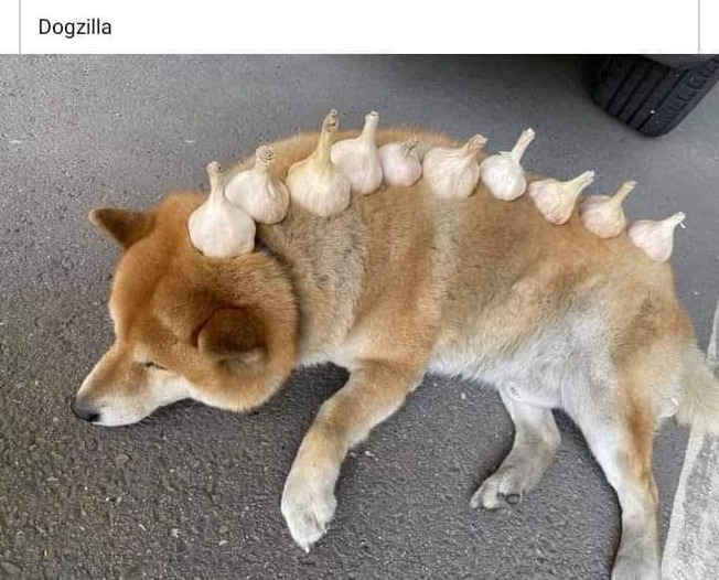 179968843_3873626362736379_2482946035008555400_n