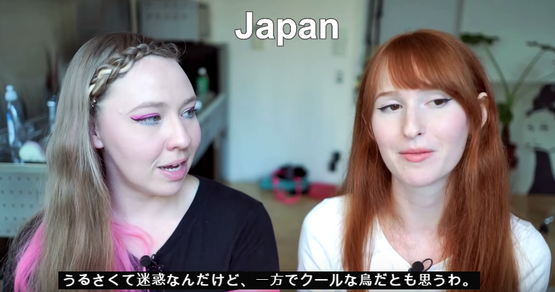 日韓　カルチャーショック　海外の反応