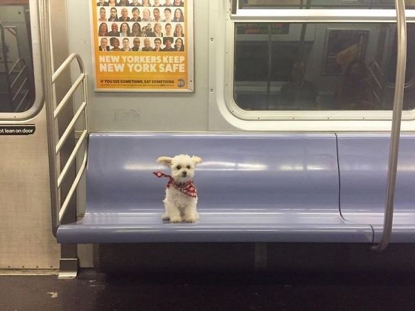 funny-people-on-subway-52-5b3204c43ba57__605