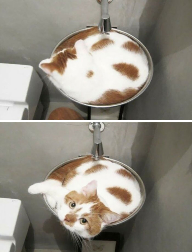 satisfying-perfect-fit-pics-5-6500256ba30fc__700