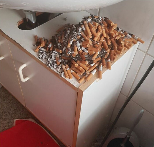lazy-infuriating-people-5-6765844d9bfaa__700