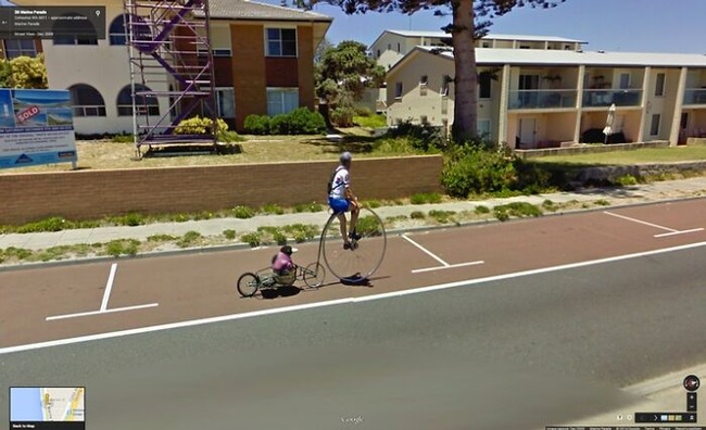 google-street-animals-5d2441e2d6c81__700-6392fed675b49__700