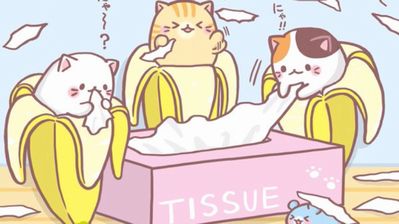 thumb_28b78a0d-cd77-4c29-9ec5-97af44c6bf14