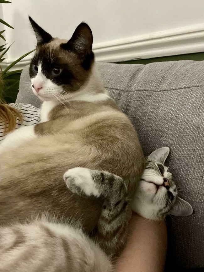 6405ec7f9b72d_6omfdp8ykh381__700