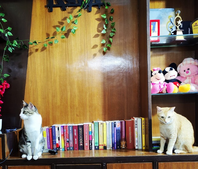 140266566_3281851151920438_7295897334001592554_o