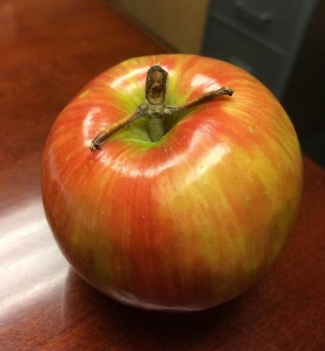 6786522cd12d5_pareidolia-pictures