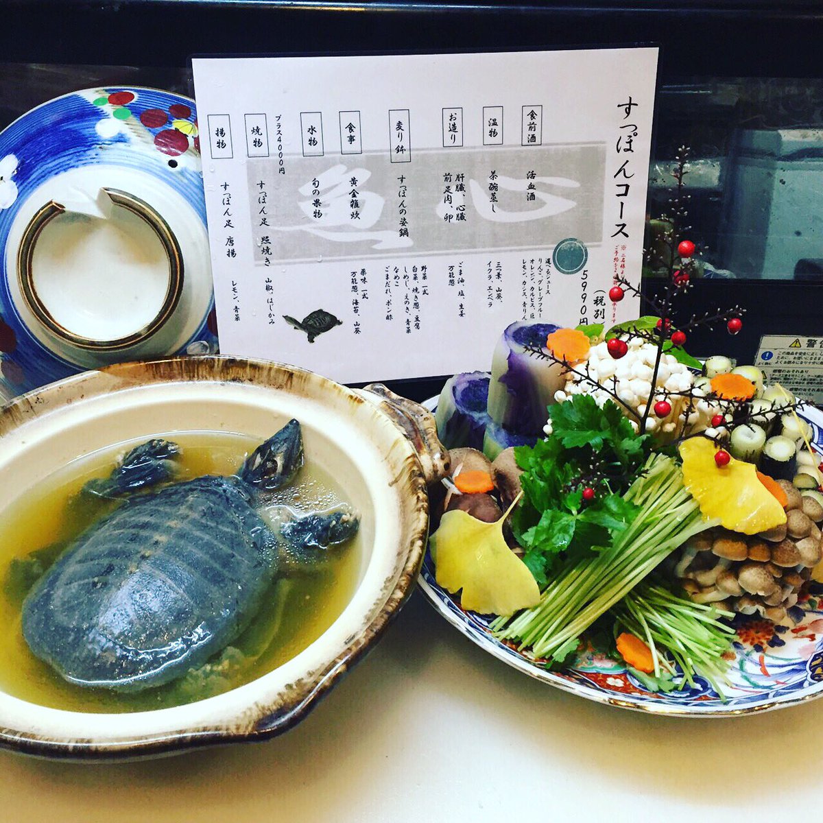 外国人 日本のスッポン鍋という料理で悲しくなったよ 海外の万国反応記 海外の反応