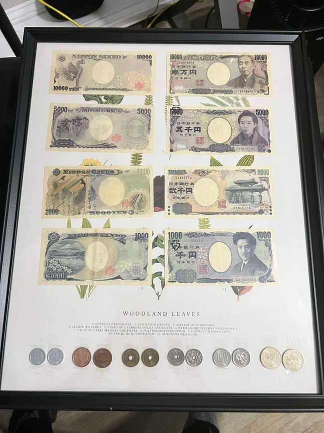 458145308_3511085259181355_7808051056799409304_n