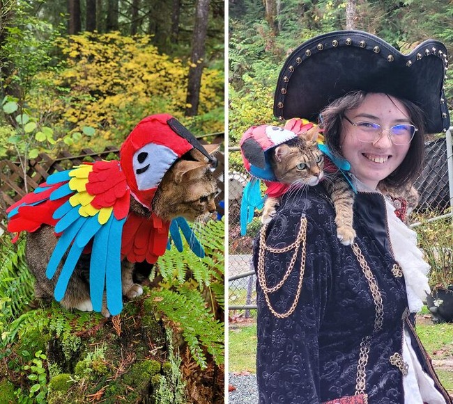 65344eb15068b_pet-halloween-costumes (1)
