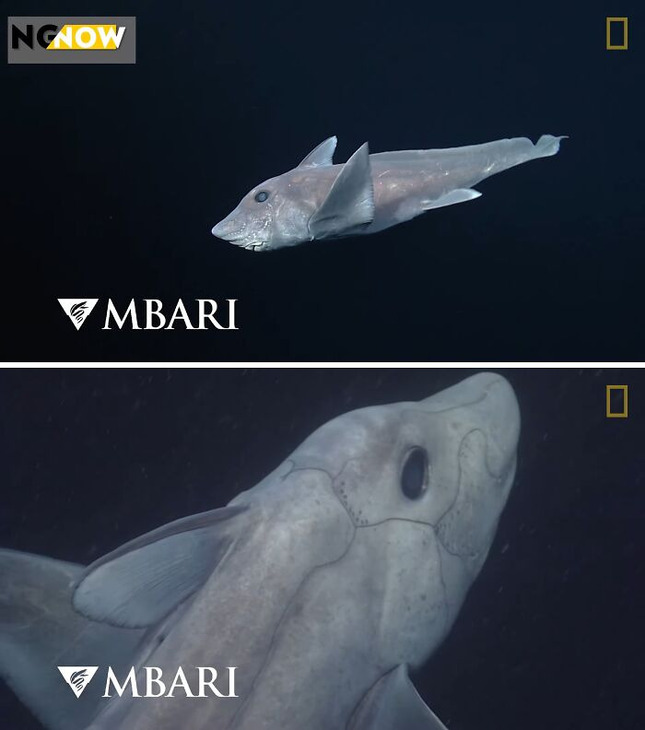 697b5ac021c86_generated-image__7(1)