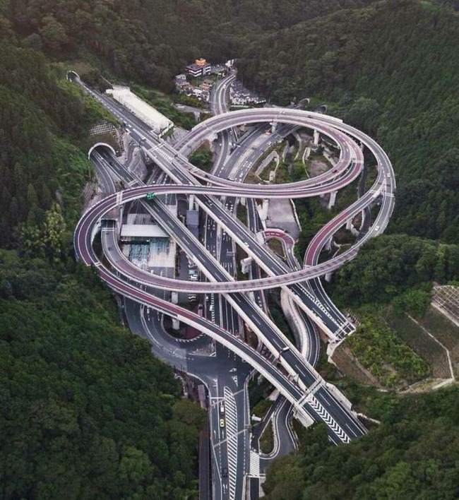 81LM6iAD-gL._AC_SL1500_