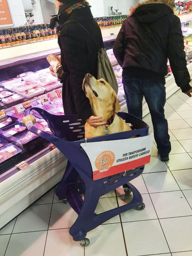 genius-store-ideas-85-64e765248216c__700