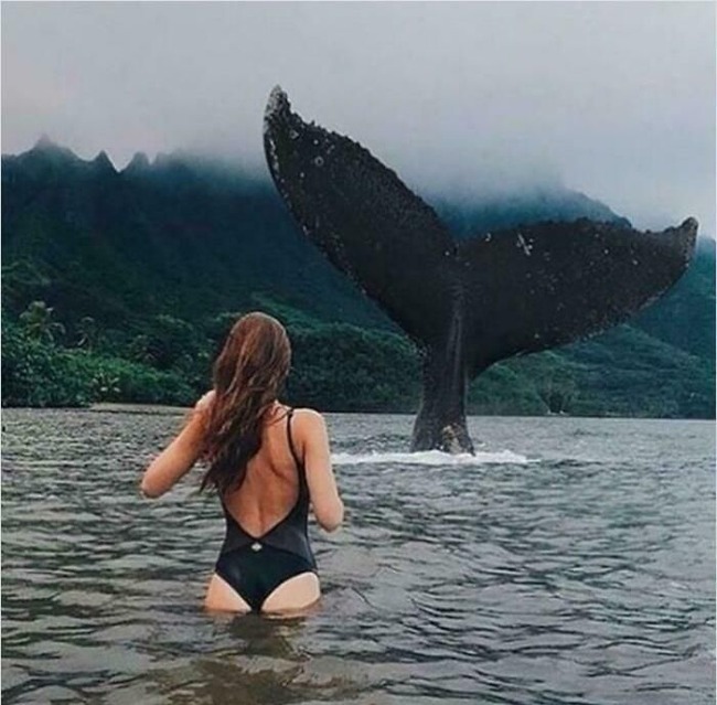 clipimage-633697358801a__700