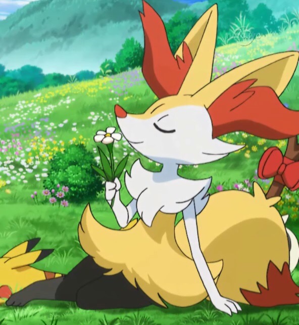 ec35ca038bfb208ffed92d26dacfb57eb6641a73ba5bb1a9ea23d8ef8a11424a