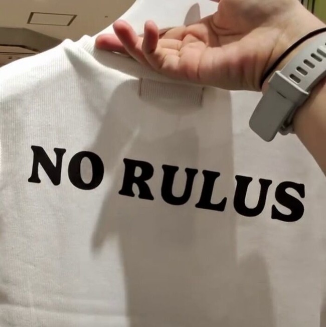 67fd02856531f_hilarious-japanese-tshirts-27