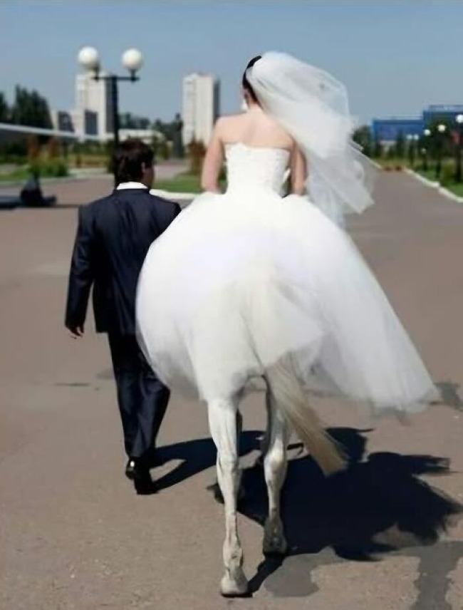 accidental-optical-illusions-pics-6744731d13d7b__700