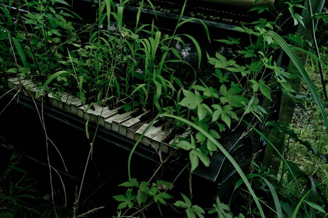 7e8945_f635bb4b7601c7f33a05d59ae94dc161