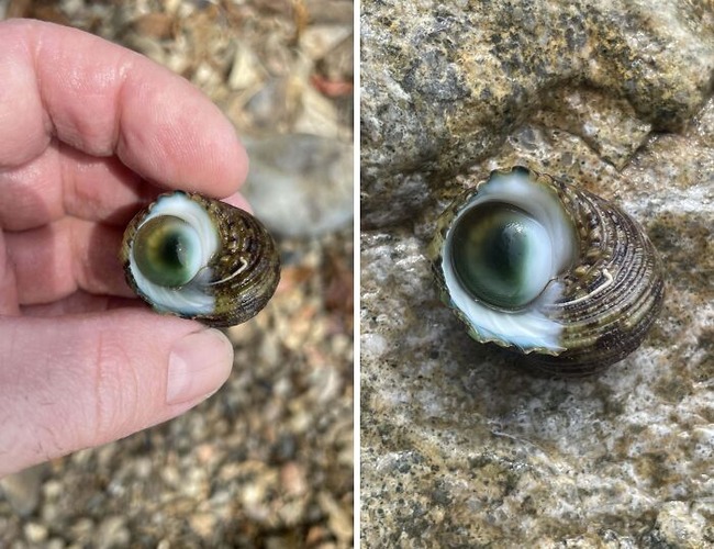 67501aad8005b_generated-image