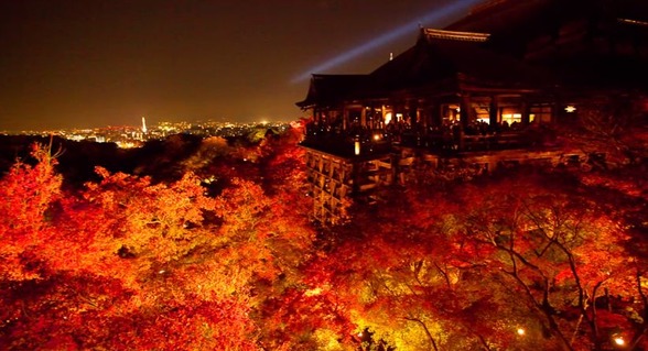 紅葉　秋　海外の反応　日本