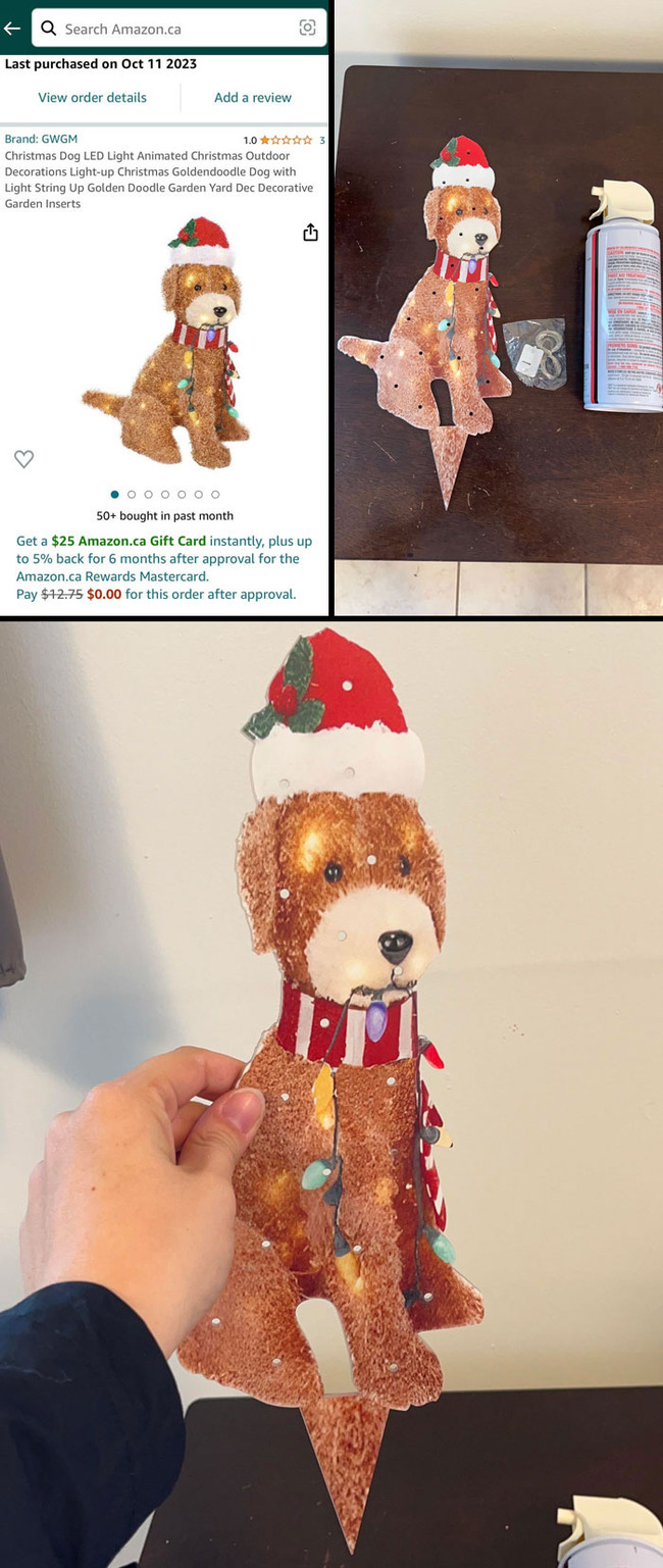 disappointing-online-shopping-fails-4-659ebf0acc985__700