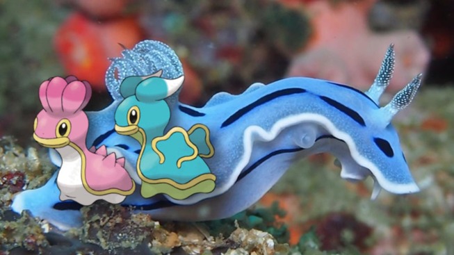 63d298c7-4ded-4f4b-86c4-f45e8423f0ad
