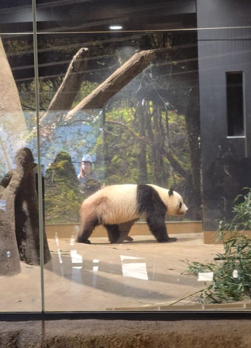 i-img1200x1200-1642928939lozb6i3