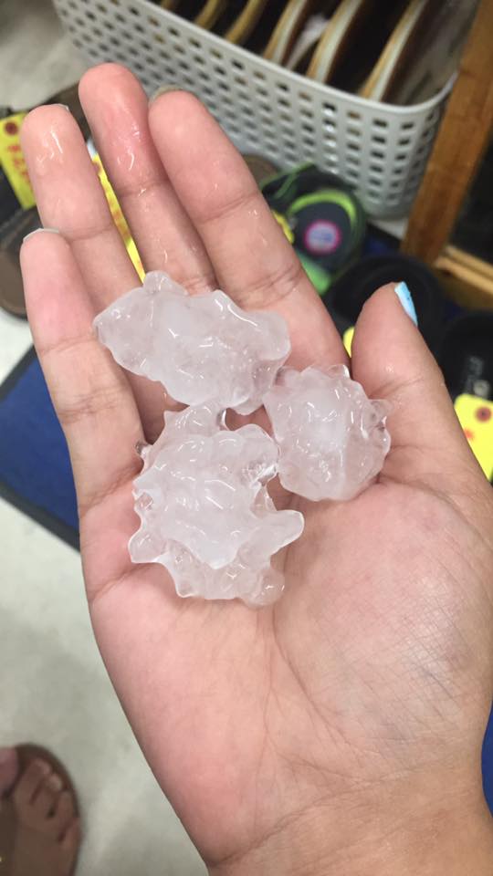 20155820_10155074810084215_362164516726887256_n