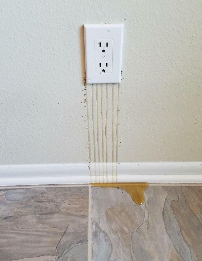 655f5bc31b059_worst-home-building-fails