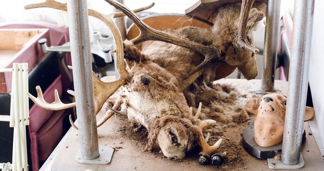 IMG_0996-626e8a45e9212__700