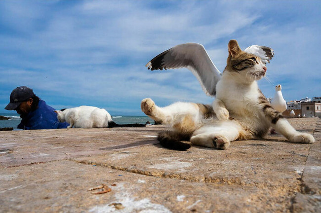 Photographer-takes-to-the-streets-capturing0