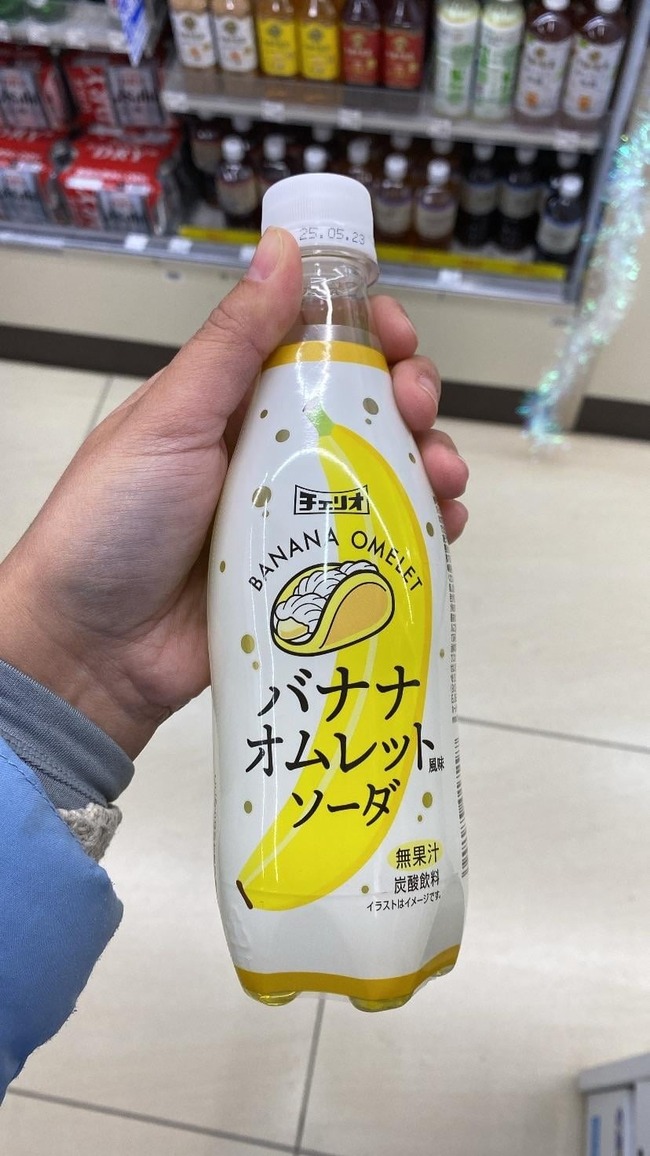 rounding-off-our-japan-trip-with (4)