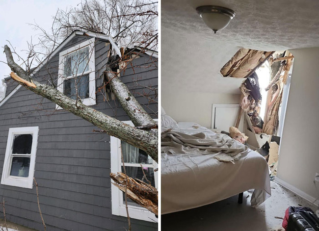 christmas-bad-day-fails-accidents-38-657b102eb46cb__700