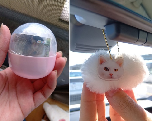 555006414_10230796854247714_8891