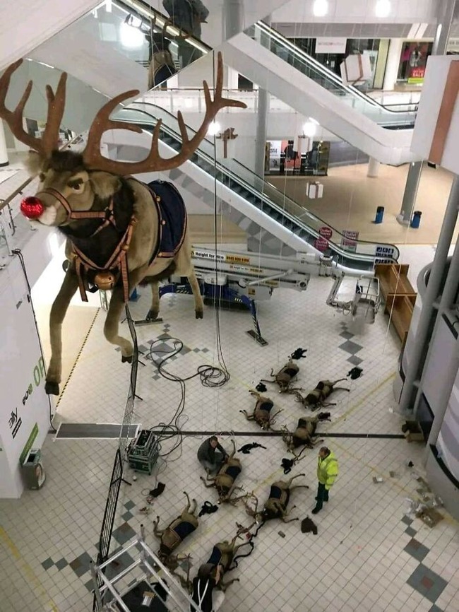 accidental-surrealism-images-63abfbfcc5070__700