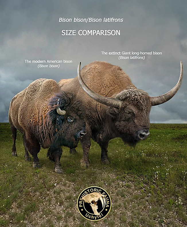 size-of-long-extinct-animals-with-their-modern-relatives